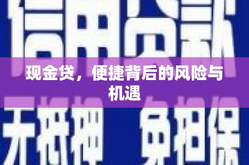 红寺堡现金贷，便捷背后的风险与机遇
