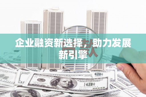 红寺堡企业融资新选择，助力发展新引擎