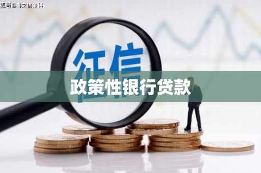 红寺堡政策性银行贷款