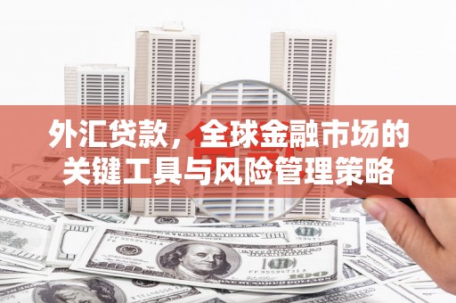 红寺堡外汇贷款，全球金融市场的关键工具与风险管理策略