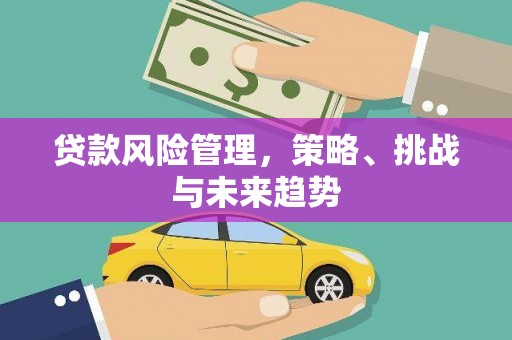 红寺堡贷款风险管理，策略、挑战与未来趋势