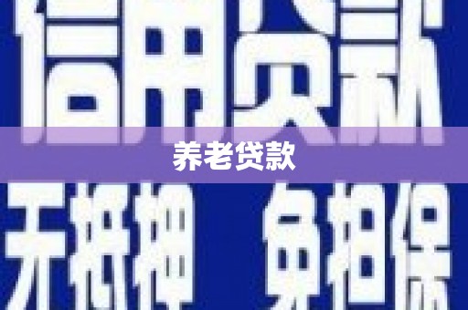 红寺堡养老贷款