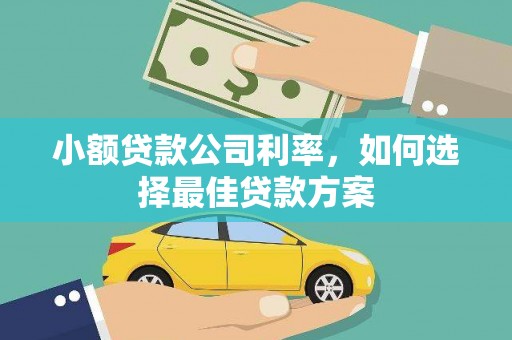 红寺堡小额贷款公司利率，如何选择最佳贷款方案