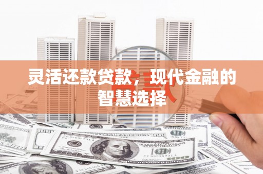红寺堡灵活还款贷款，现代金融的智慧选择