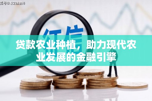 红寺堡贷款农业种植，助力现代农业发展的金融引擎