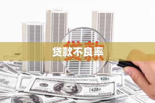 红寺堡贷款不良率