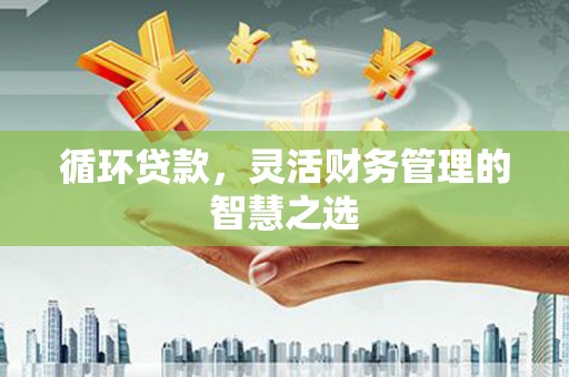 红寺堡循环贷款，灵活财务管理的智慧之选