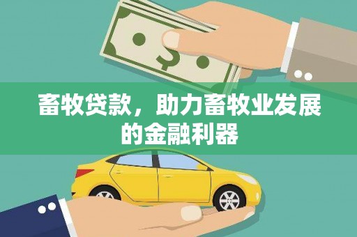 红寺堡畜牧贷款，助力畜牧业发展的金融利器