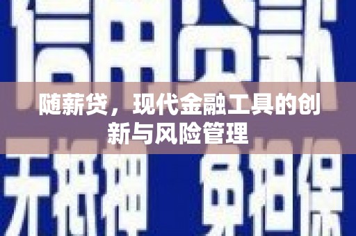 红寺堡随薪贷，现代金融工具的创新与风险管理