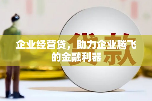 红寺堡企业经营贷，助力企业腾飞的金融利器