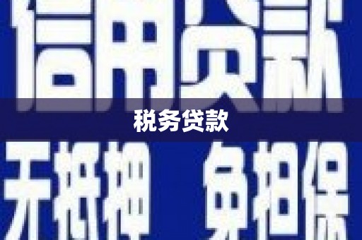 红寺堡税务贷款