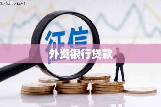 红寺堡外资银行贷款