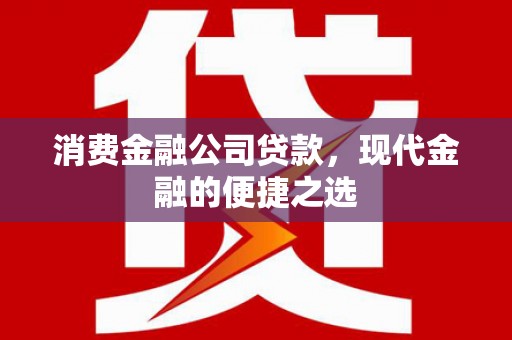 红寺堡消费金融公司贷款，现代金融的便捷之选
