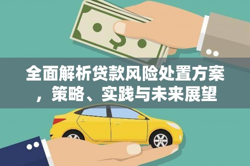 红寺堡全面解析贷款风险处置方案，策略、实践与未来展望