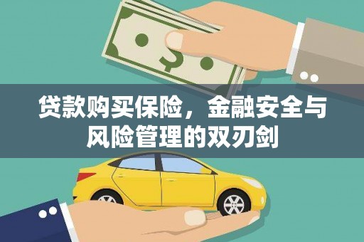 红寺堡贷款购买保险，金融安全与风险管理的双刃剑