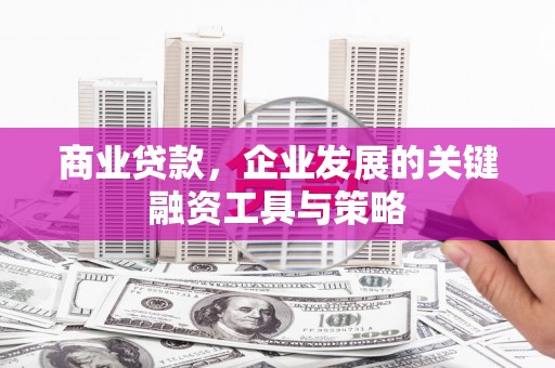 红寺堡商业贷款，企业发展的关键融资工具与策略