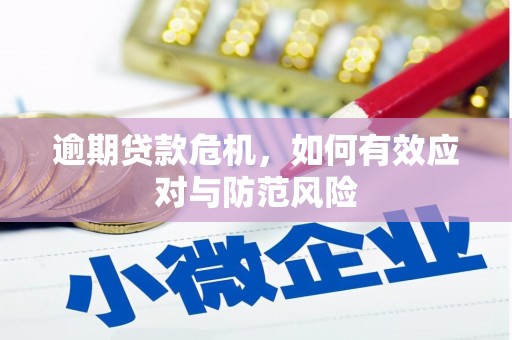 红寺堡逾期贷款危机，如何有效应对与防范风险