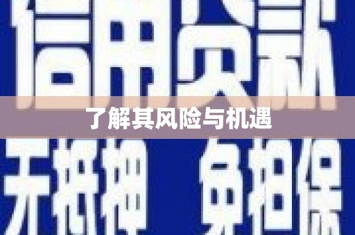 红寺堡了解其风险与机遇