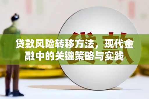 红寺堡贷款风险转移方法，现代金融中的关键策略与实践
