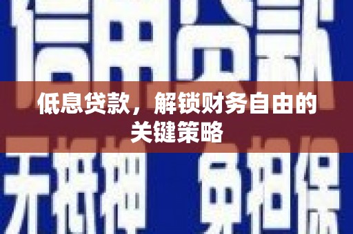 红寺堡低息贷款，解锁财务自由的关键策略