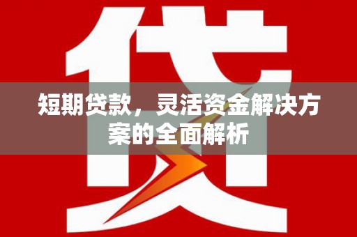 红寺堡短期贷款，灵活资金解决方案的全面解析