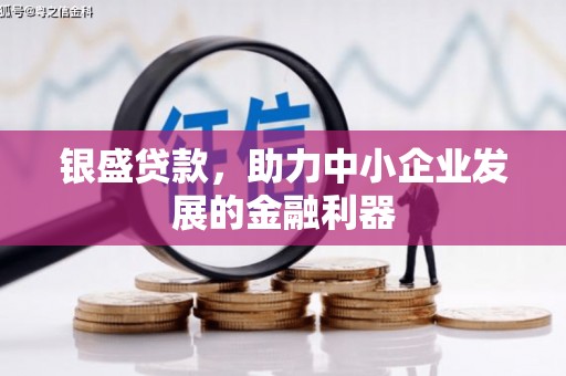 红寺堡银盛贷款，助力中小企业发展的金融利器