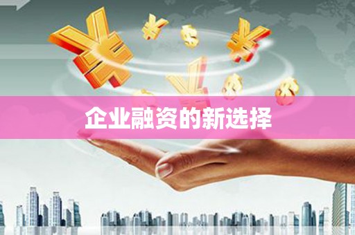 红寺堡企业融资的新选择