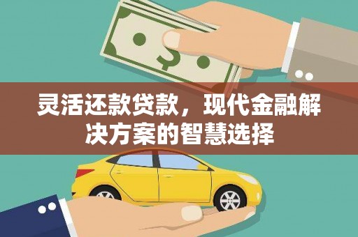 红寺堡灵活还款贷款，现代金融解决方案的智慧选择