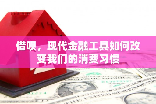 红寺堡借呗，现代金融工具如何改变我们的消费习惯