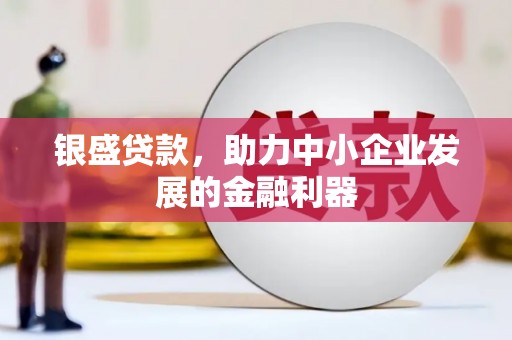 红寺堡银盛贷款，助力中小企业发展的金融利器