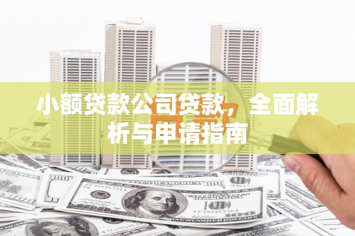 红寺堡小额贷款公司贷款，全面解析与申请指南