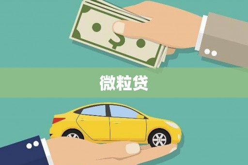红寺堡微粒贷