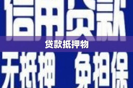红寺堡贷款抵押物