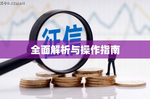 红寺堡全面解析与操作指南