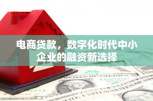 红寺堡电商贷款，数字化时代中小企业的融资新选择