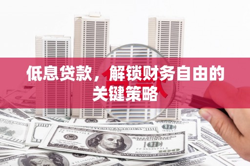 红寺堡低息贷款，解锁财务自由的关键策略