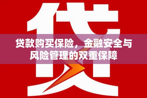 红寺堡贷款购买保险，金融安全与风险管理的双重保障