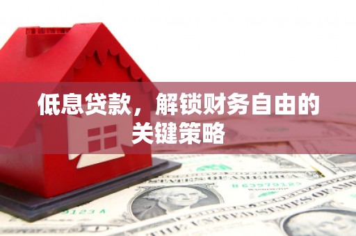 红寺堡低息贷款，解锁财务自由的关键策略