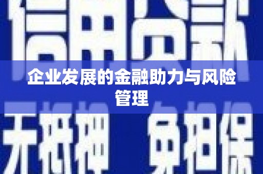 红寺堡企业发展的金融助力与风险管理