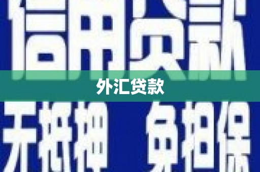 红寺堡外汇贷款