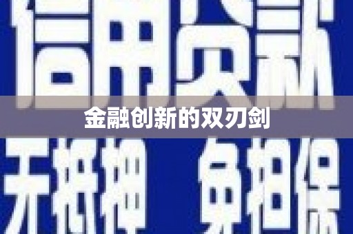 红寺堡金融创新的双刃剑