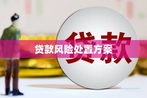 红寺堡贷款风险处置方案
