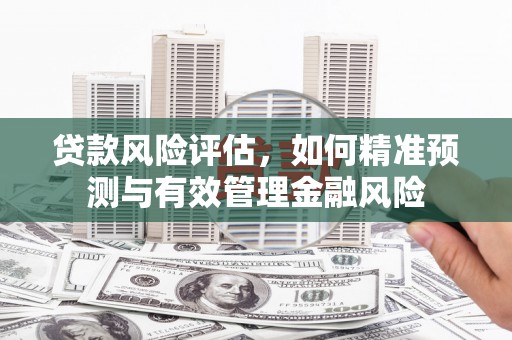 红寺堡贷款风险评估，如何精准预测与有效管理金融风险