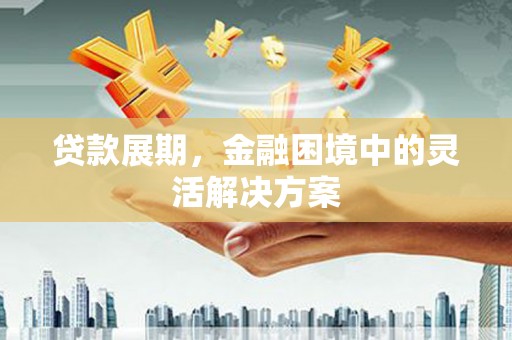 红寺堡贷款展期，金融困境中的灵活解决方案