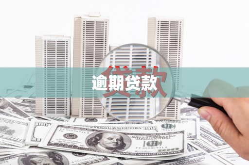 红寺堡逾期贷款