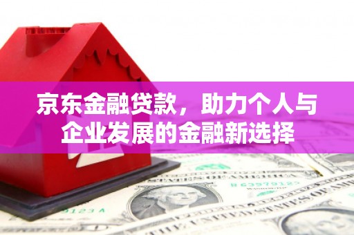红寺堡京东金融贷款，助力个人与企业发展的金融新选择