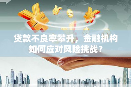红寺堡贷款不良率攀升，金融机构如何应对风险挑战？