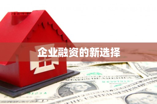 红寺堡企业融资的新选择