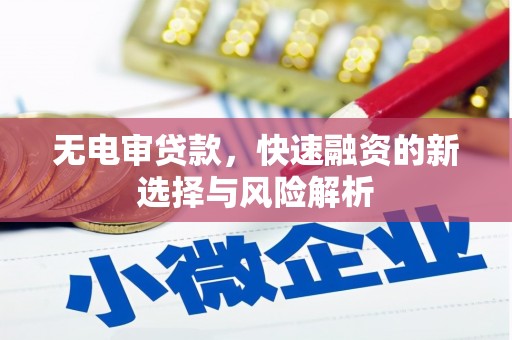红寺堡无电审贷款，快速融资的新选择与风险解析