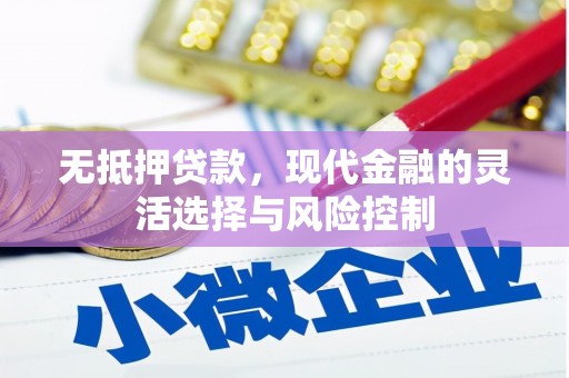 红寺堡无抵押贷款，现代金融的灵活选择与风险控制